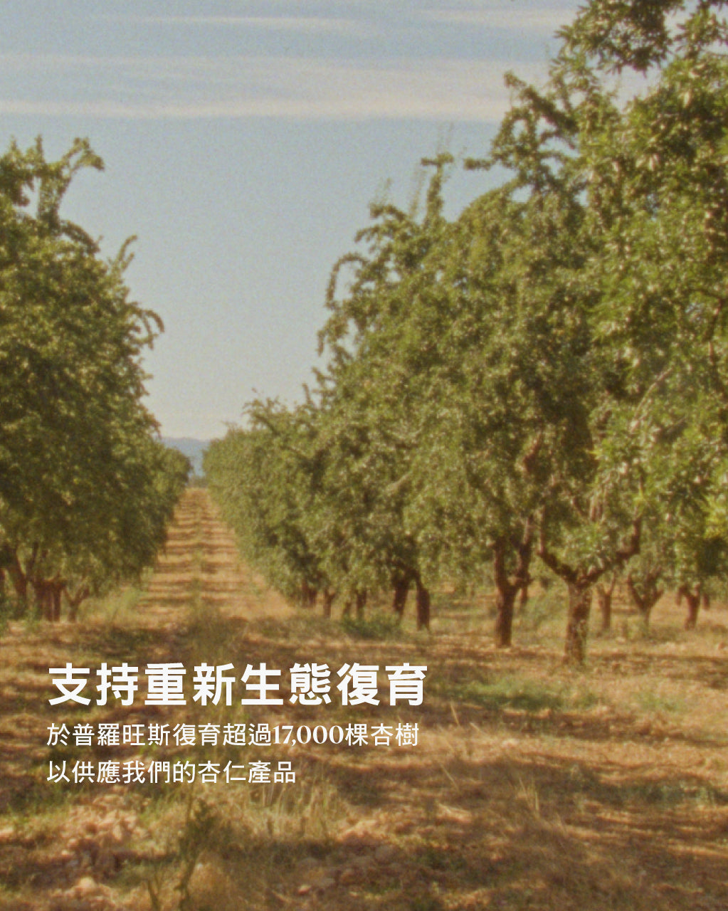 杏仁緊膚凝霜