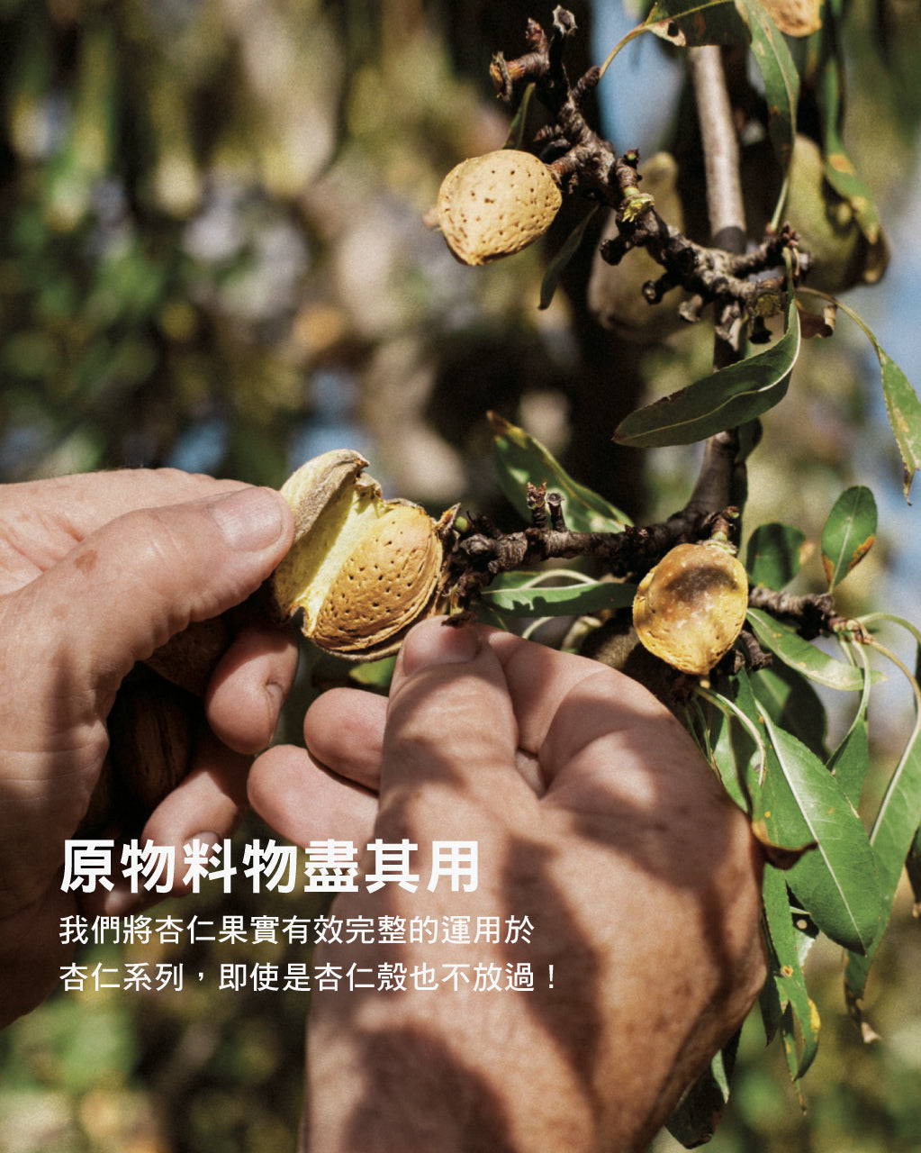 杏仁緊膚凝霜