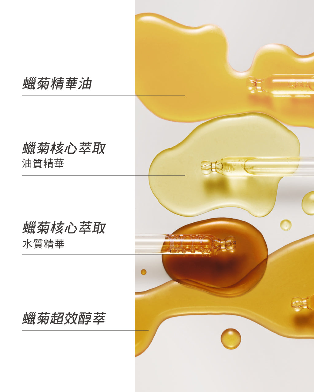 蠟菊賦活極萃霜
