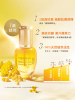 蠟菊賦活極萃油