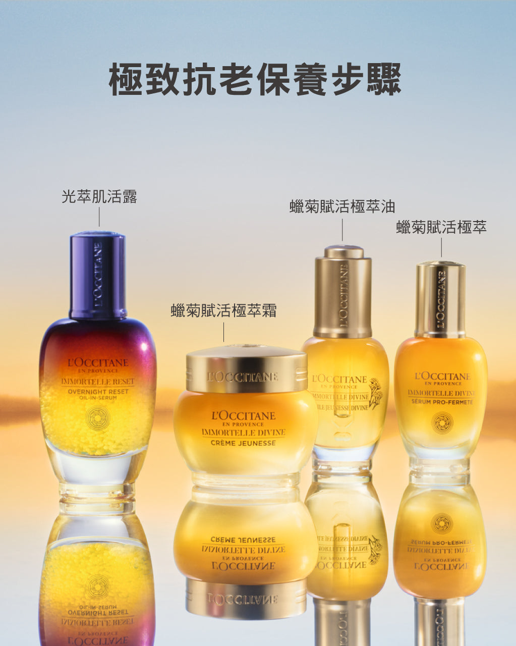 蠟菊賦活極萃油