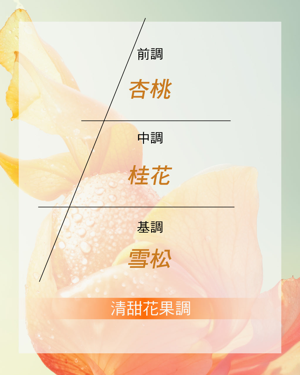 Osmanthus Abricot 桂花杏桃淡香水