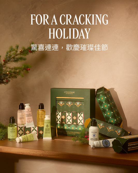 匠造節慶驚喜分享禮盒
