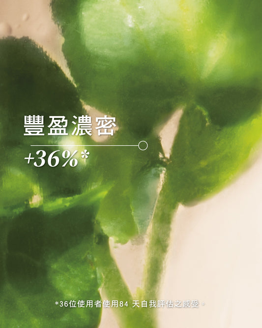 草本豐蘊養髮精華