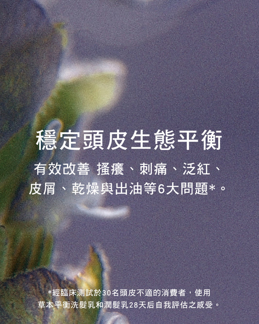 草本平衡洗髮乳補充瓶