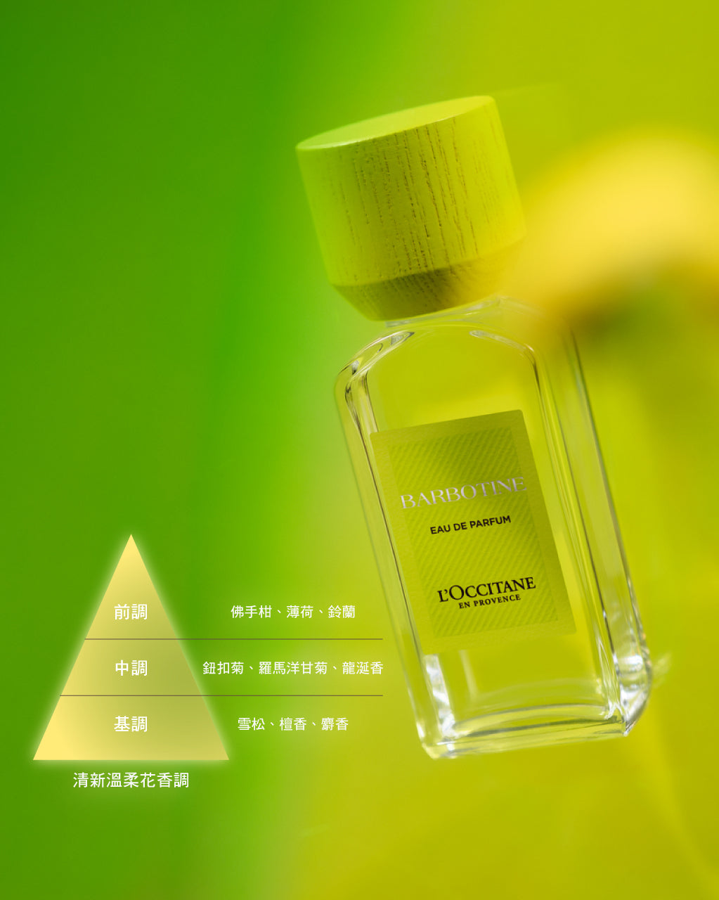 隱世之香-鈕扣菊香氛組