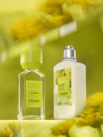 隱世之香-鈕扣菊香水