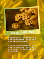 隱世之香-鈕扣菊護手霜