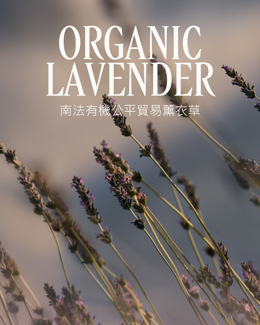 Lavande 薰衣草泡泡浴