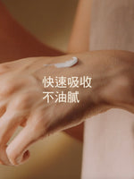 乳油木護手霜