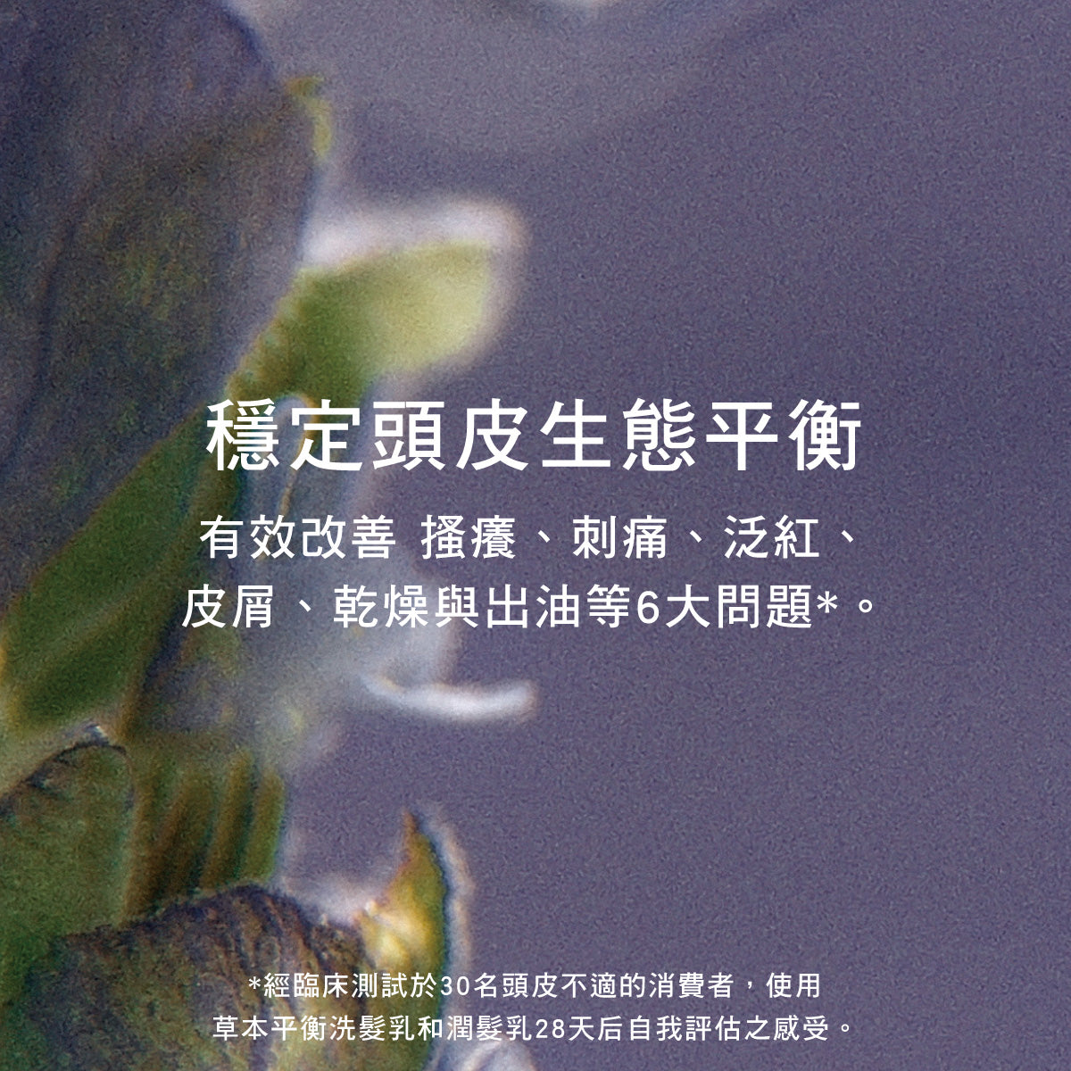 草本平衡洗髮乳