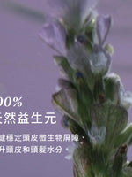 草本平衡洗髮乳
