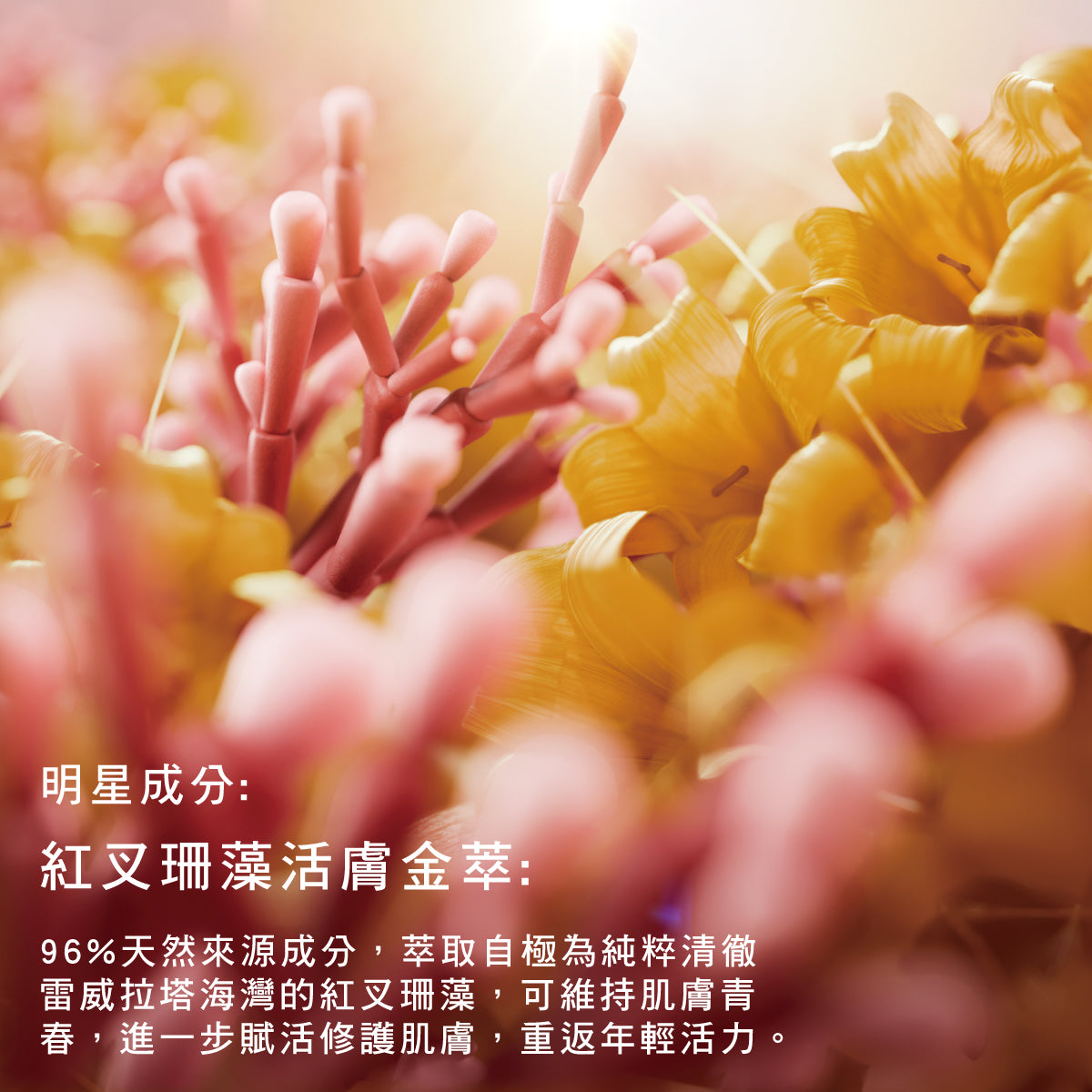 馭時金燦活萃