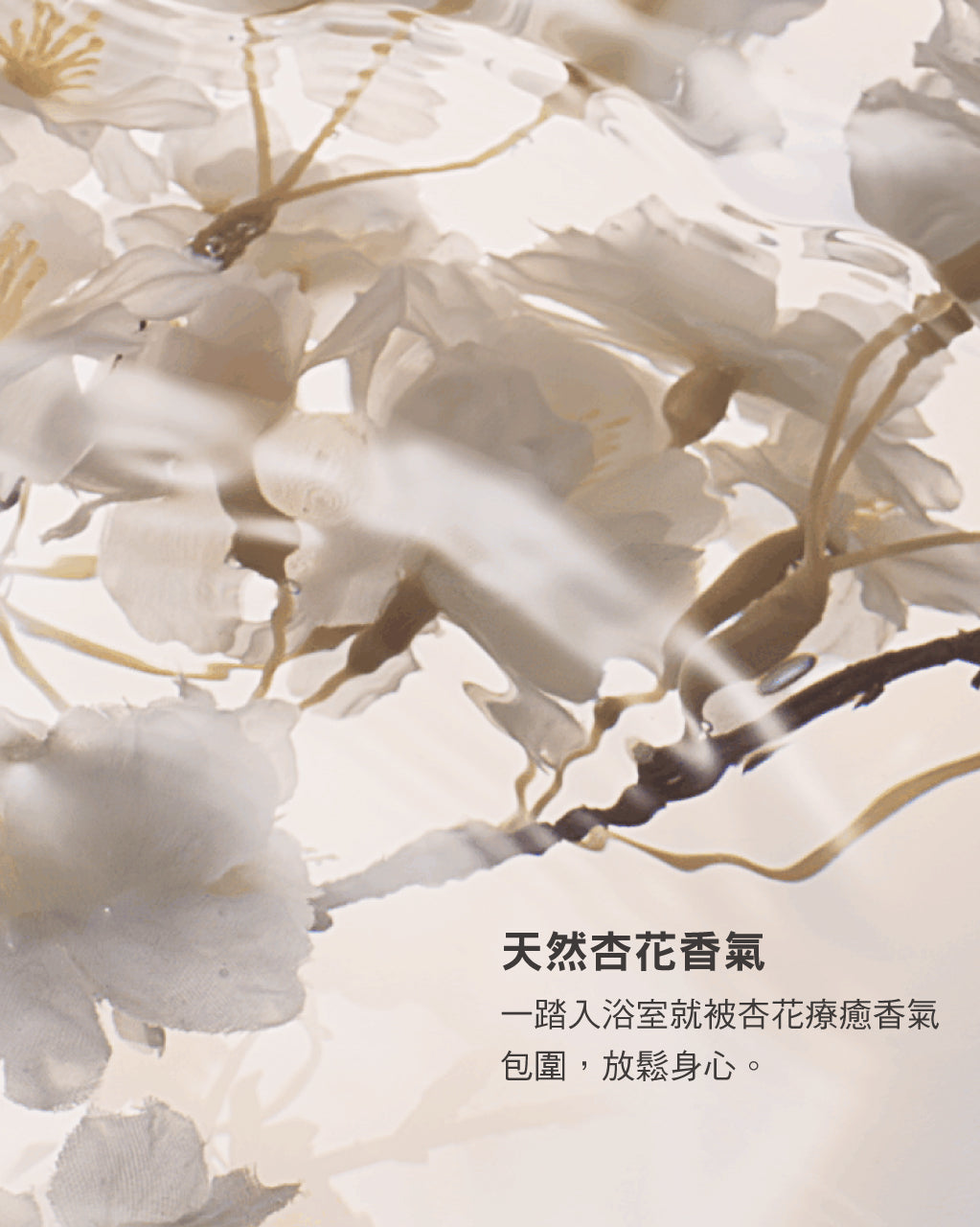 杏仁沐浴永續組
