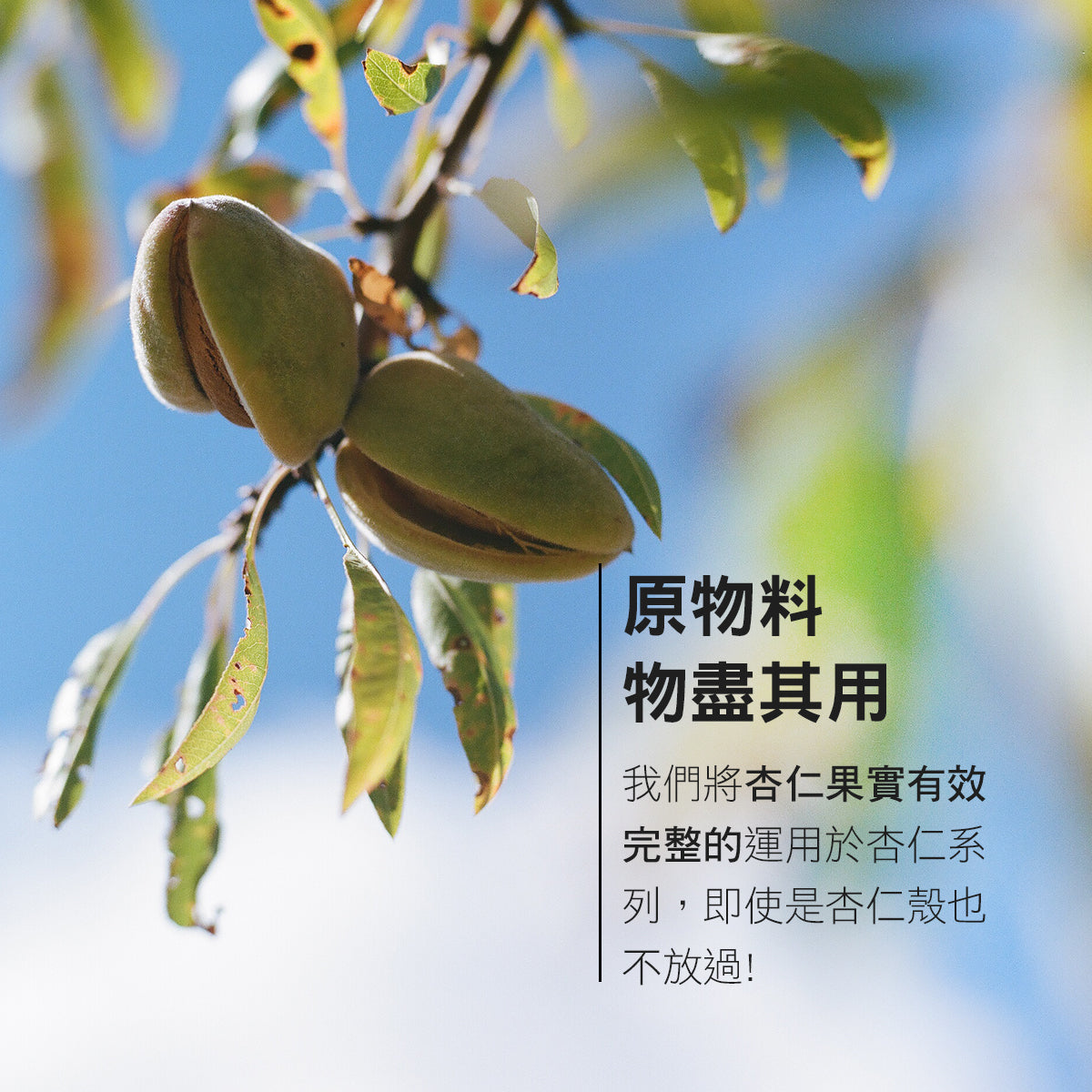 杏仁沐浴油