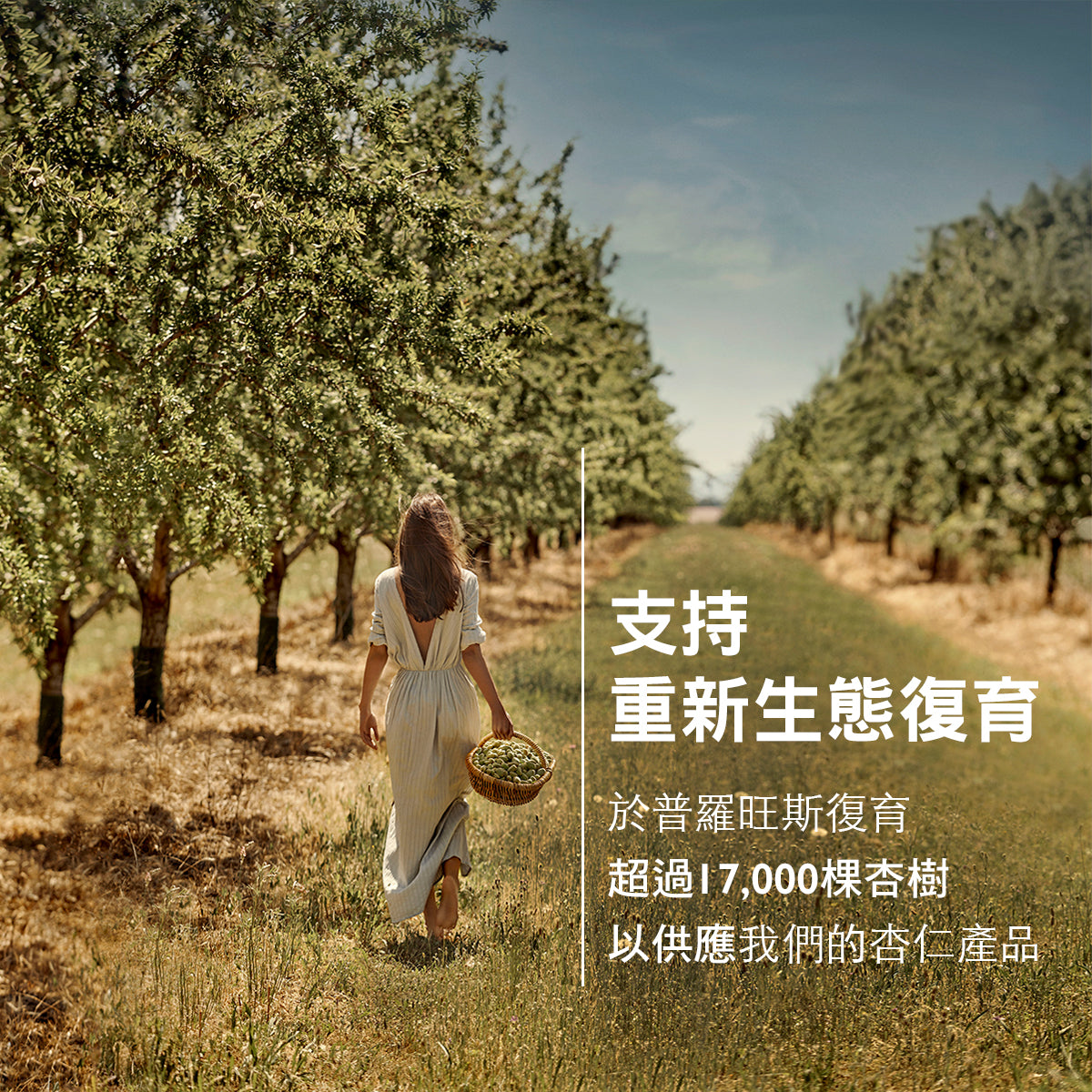 杏仁沐浴油