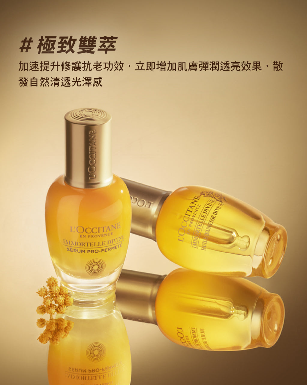 蠟菊賦活極萃油