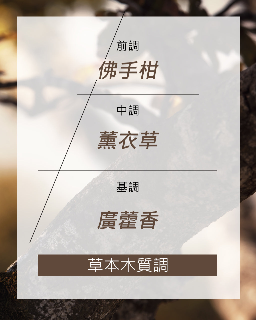 四影幽香淡香水
