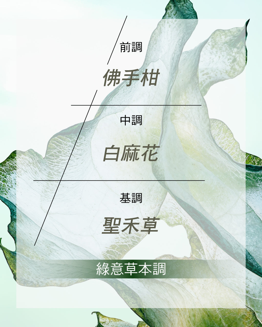 Ortie Blanche 聖禾草香水