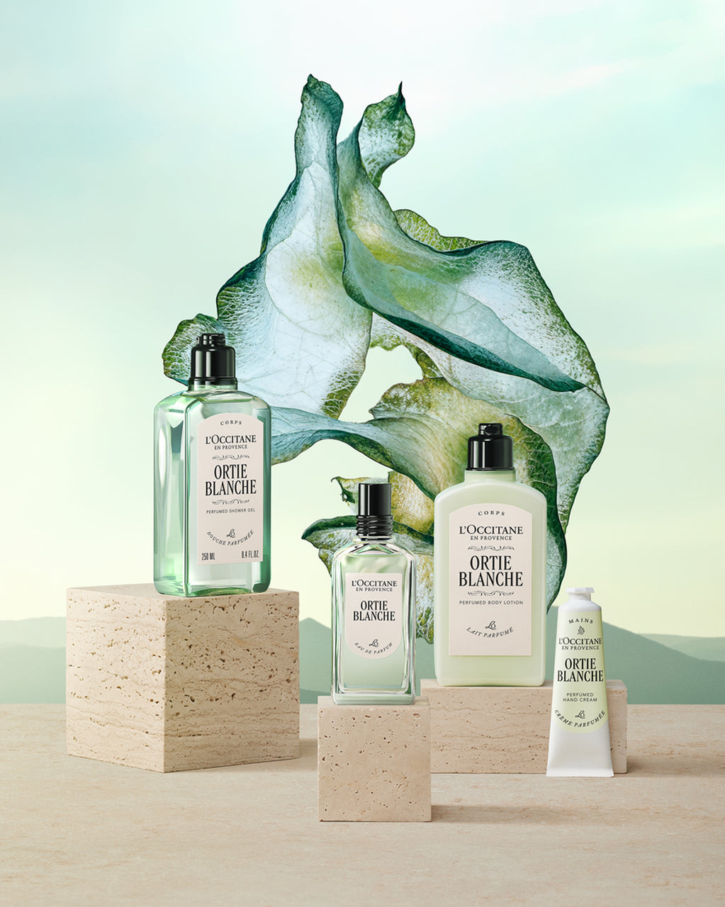 L'Occitane Herbae 香水 数量限定】エルバヴェール｜ロクシタン公式通販