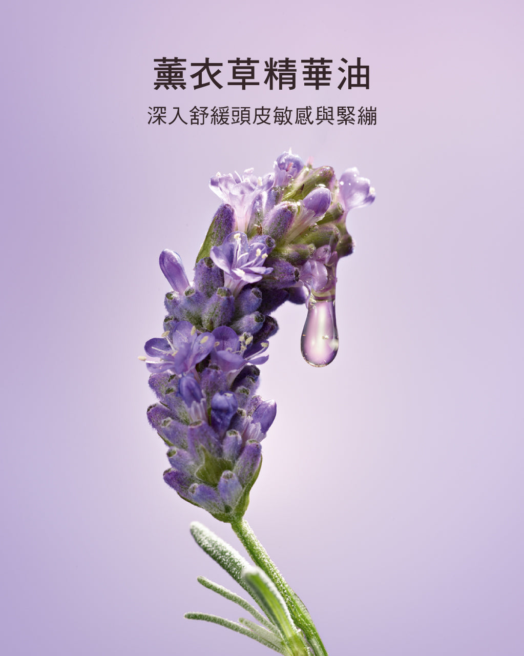 Media preview image alternate text