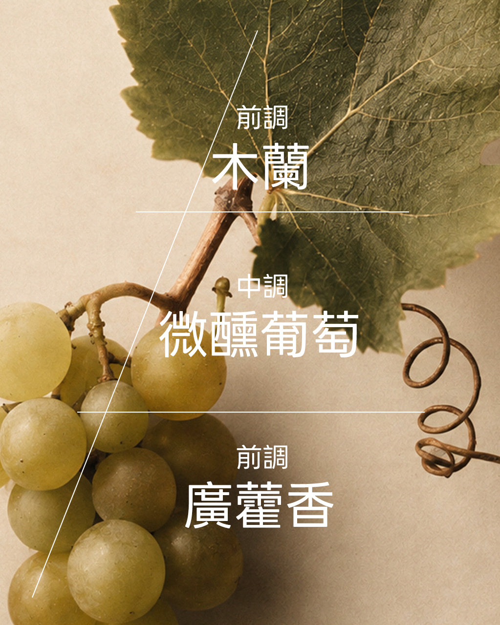 藝匠系列擴香-佛卡吉耶露台盛宴(不含擴香枝) - Illustration 3