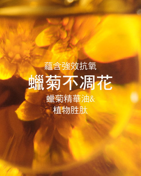 蠟菊賦活身體霜 - Illustration 3
