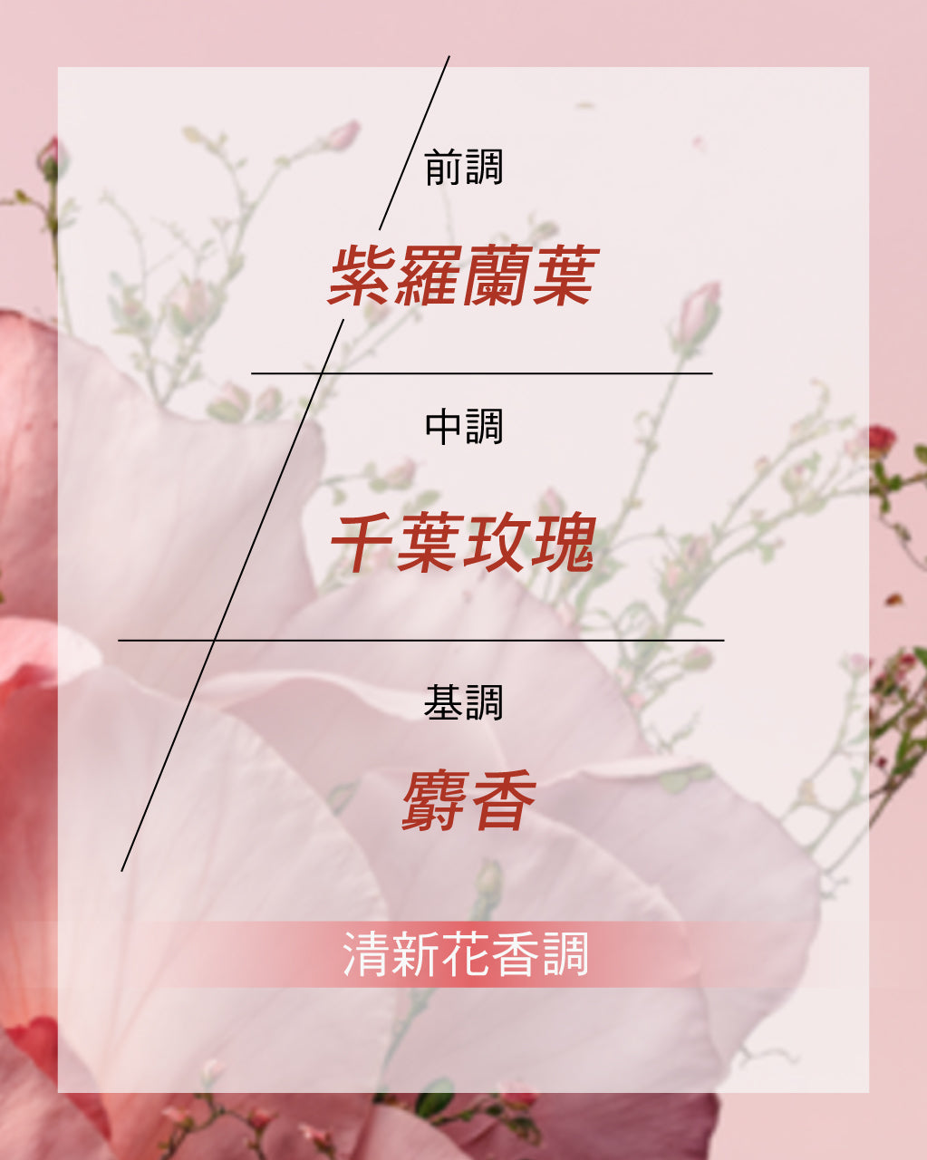 Rose 玫瑰淡香水