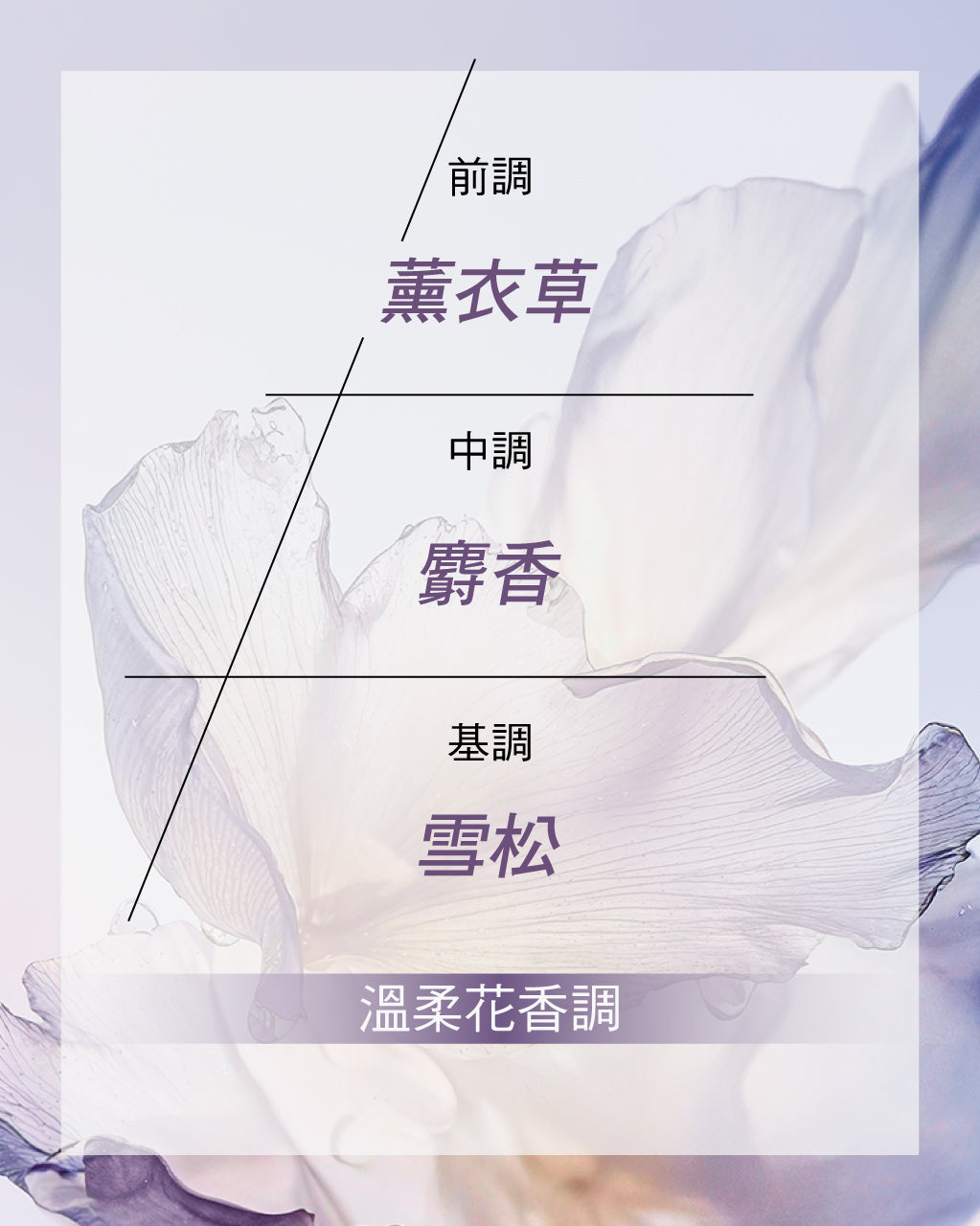 Lavande Blanche 白薰衣草淡香水