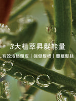 草本豐蘊養髮精華