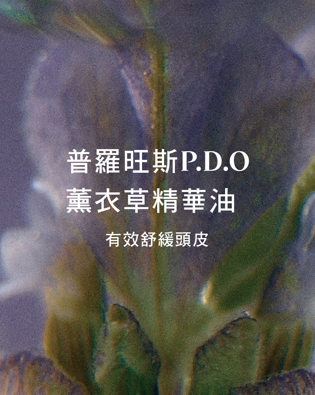 Media preview image alternate text