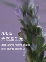 草本平衡洗髮乳