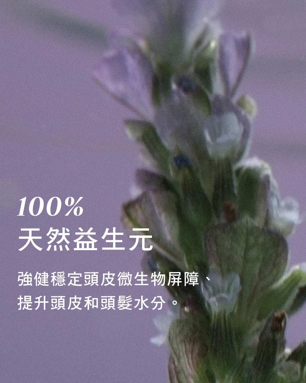 Media preview image alternate text