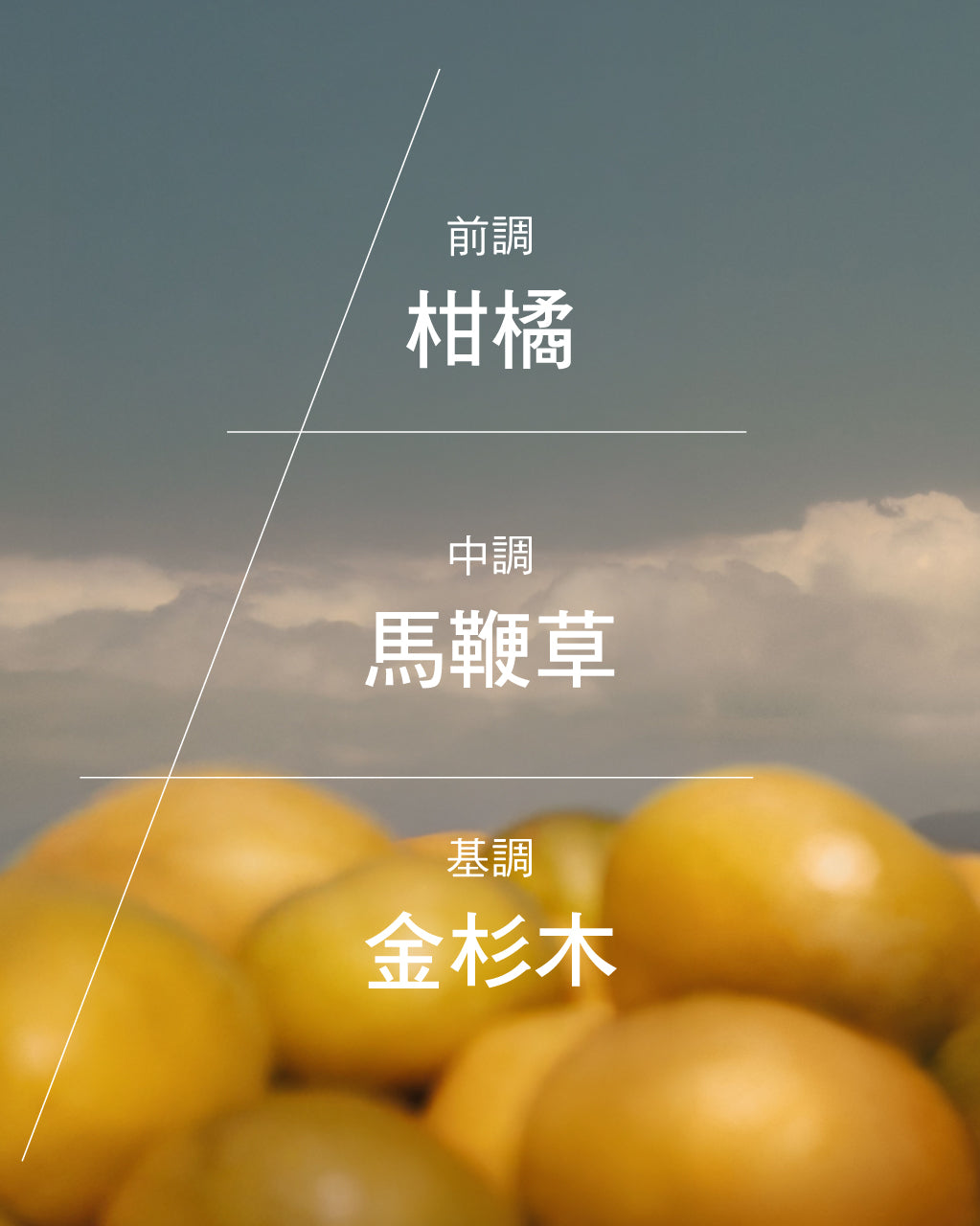 Verveine Agrumes 果漾馬鞭草淡香水