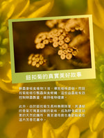隱世之香-鈕扣菊香氛組