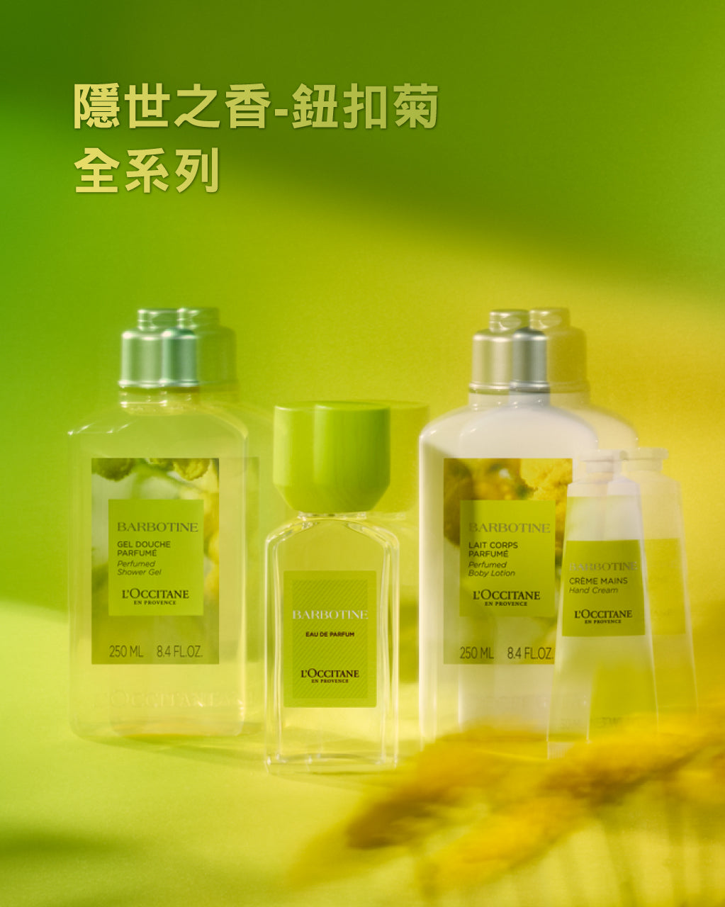 隱世之香-鈕扣菊香氛組