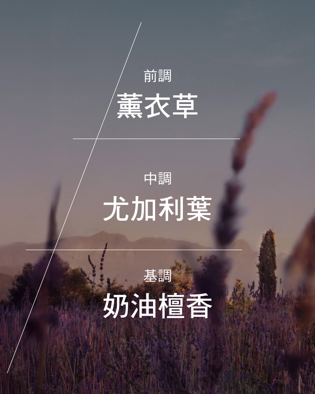 Lavande 薰衣草淡香水