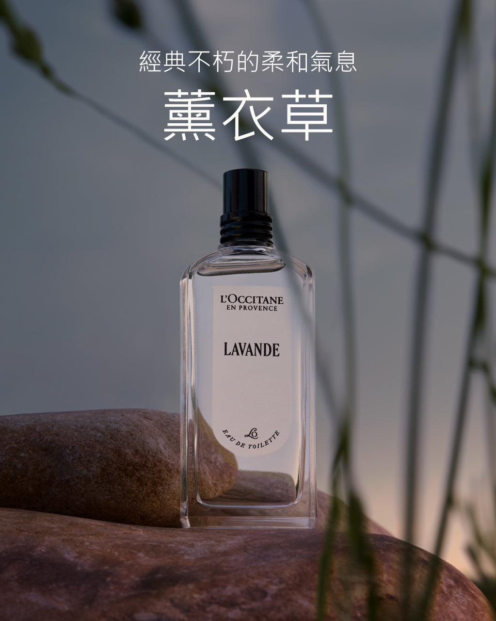 Lavande 薰衣草淡香水