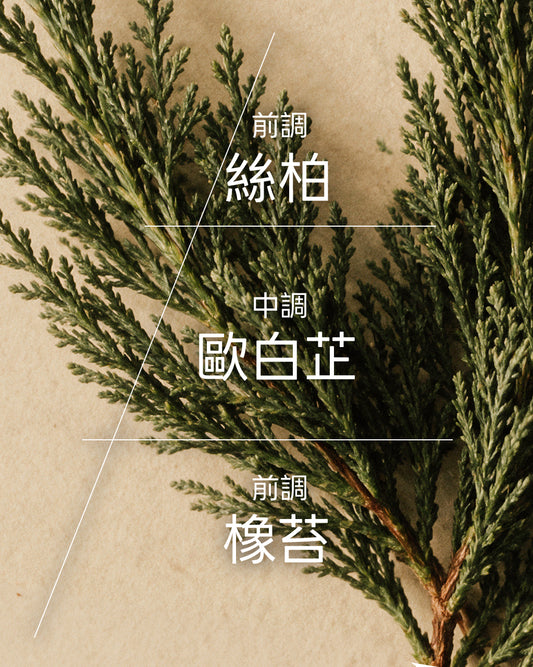 藝匠系列擴香-巴羅尼漫遊山徑(不含擴香枝)
