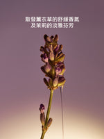 乳油木薰衣草潔手液式皂補充瓶