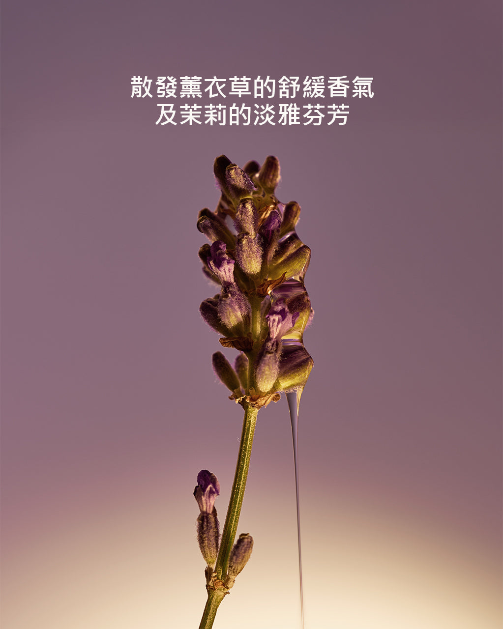 乳油木薰衣草潔手液式皂補充瓶