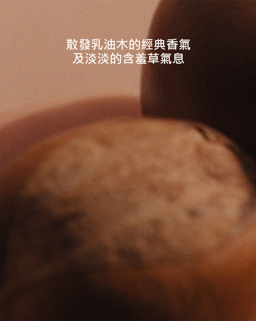 乳油木護手潤膚乳