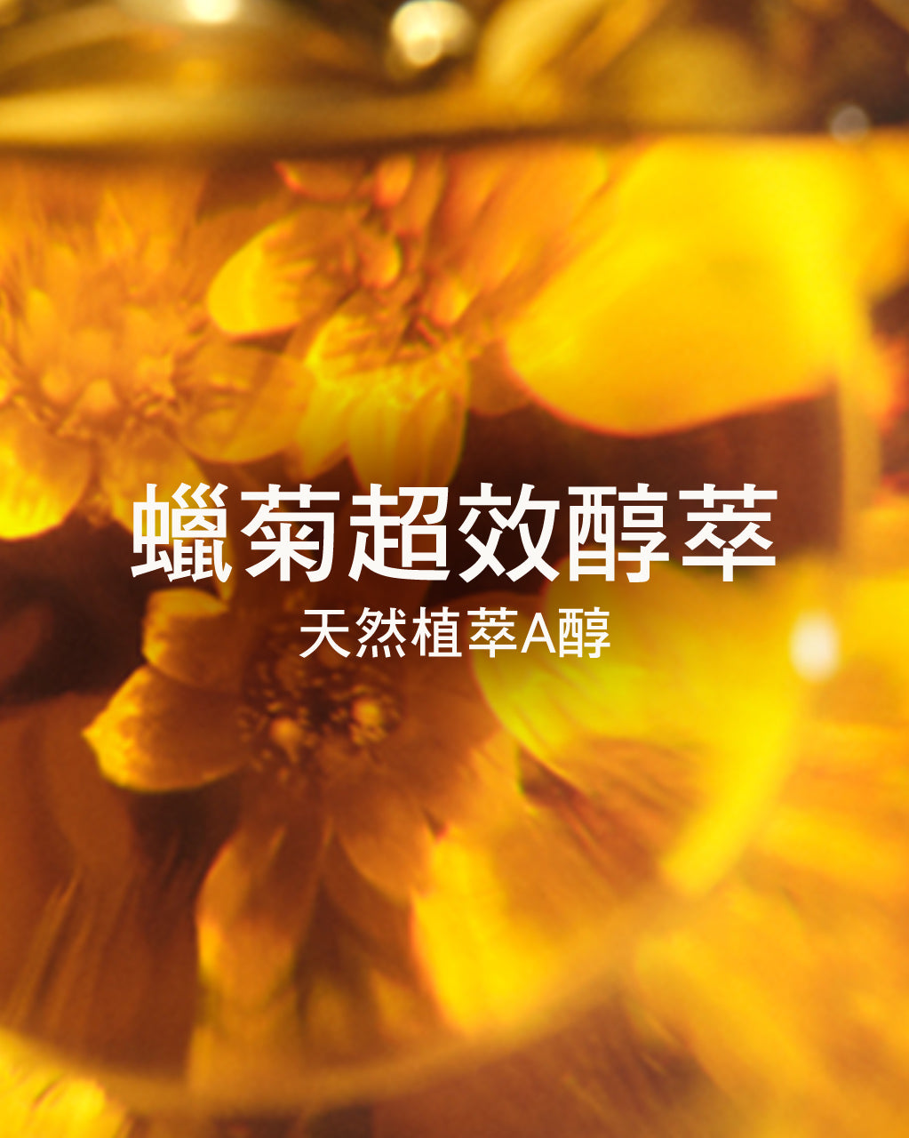 蠟菊賦活極萃撫紋筆 - Image 6