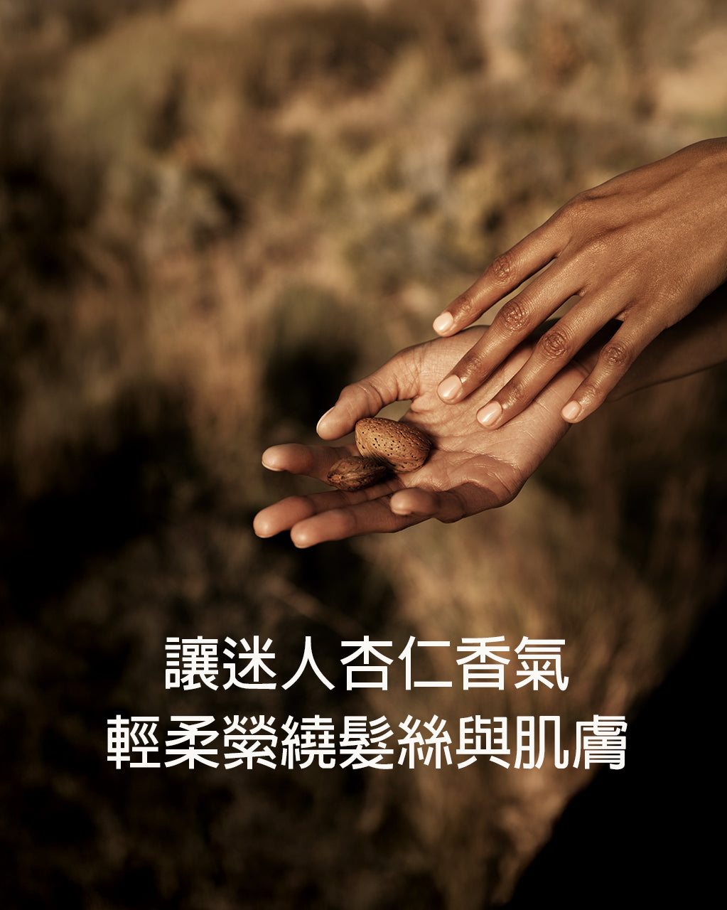 杏仁極緻身體髮香霧 - Illustration 3