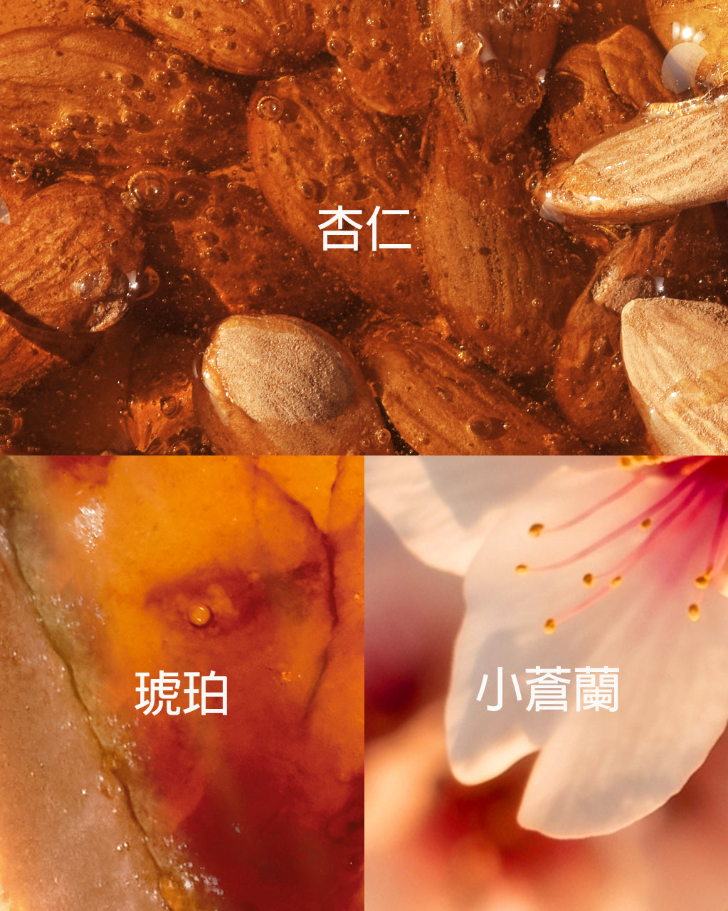 杏仁極緻身體髮香霧 - Illustration 7