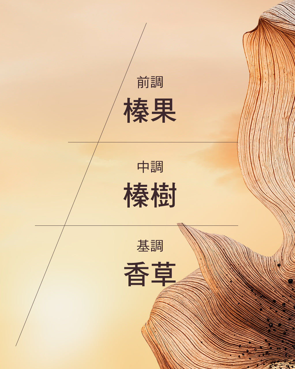 Noisetier Crémeux 榛果奶油香水 - Image 3