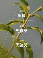 Verveine 馬鞭草淡香水
