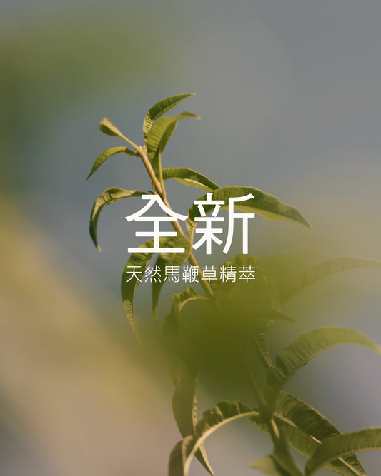 Verveine 馬鞭草沐浴膠補充瓶