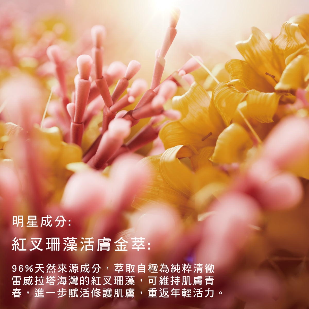馭時金燦活萃霜