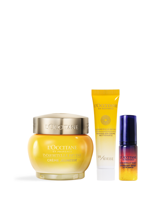 蠟菊賦活入門組